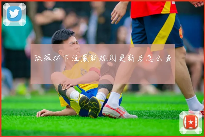 欧冠杯下注最新规则更新后怎么查