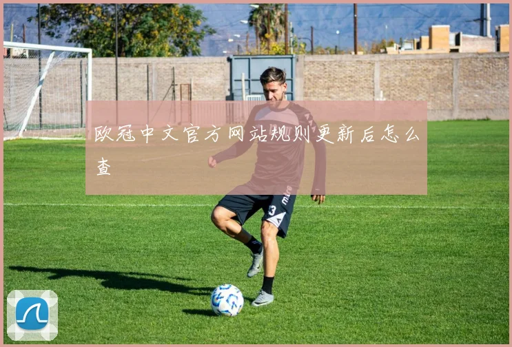 欧冠中文官方网站规则更新后怎么查